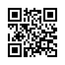 QR CODE 568