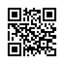 QR CODE 690