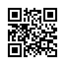 QR CODE 737