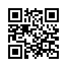QR CODE 771