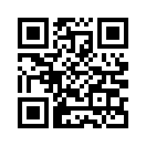 QR CODE 42