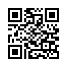 QR CODE 53