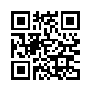 QR CODE 990