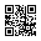 QR CODE 993