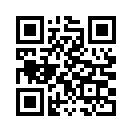 QR CODE 110