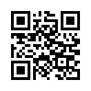 QR CODE 229