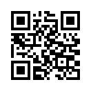 QR CODE 282