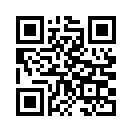 QR CODE 290