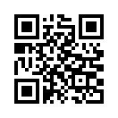 QR CODE 307