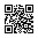 QR CODE 310
