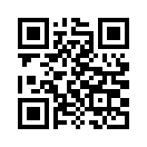QR CODE 313