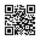 QR CODE 316