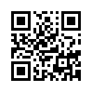 QR CODE 317