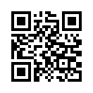 QR CODE 318