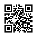 QR CODE 329