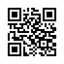 QR CODE 336