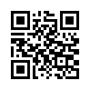 QR CODE 378