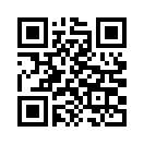 QR CODE 383