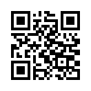 QR CODE 384