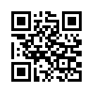 QR CODE 385