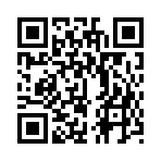 QR CODE 1153