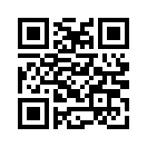 QR CODE 993