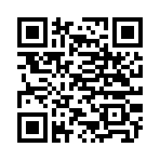 QR CODE 133