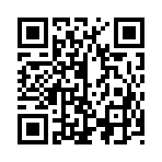 QR CODE 734