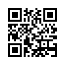 QR CODE 1178