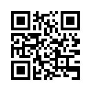 QR CODE 113