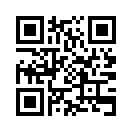 QR CODE 132