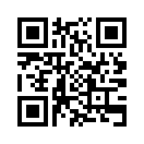 QR CODE 133