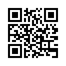 QR CODE 173