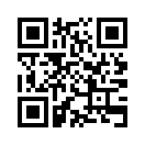 QR CODE 228