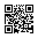 QR CODE 31