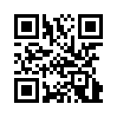 QR CODE 204
