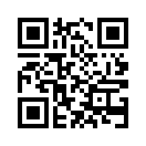 QR CODE 291