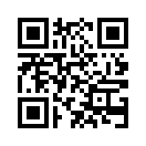 QR CODE 317