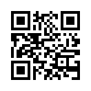 QR CODE 336