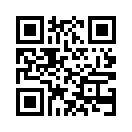 QR CODE 344