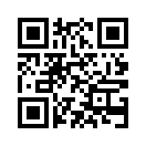 QR CODE 347