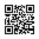 QR CODE 394