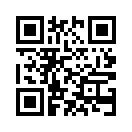 QR CODE 502