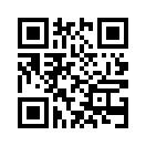 QR CODE 511