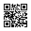 QR CODE 528