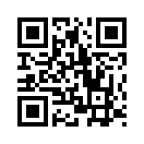 QR CODE 530