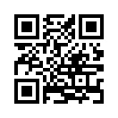 QR CODE 110