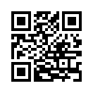 QR CODE 245