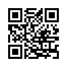 QR CODE 316