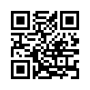 QR CODE 317